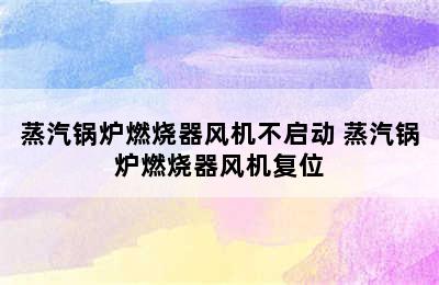 蒸汽锅炉燃烧器风机不启动 蒸汽锅炉燃烧器风机复位